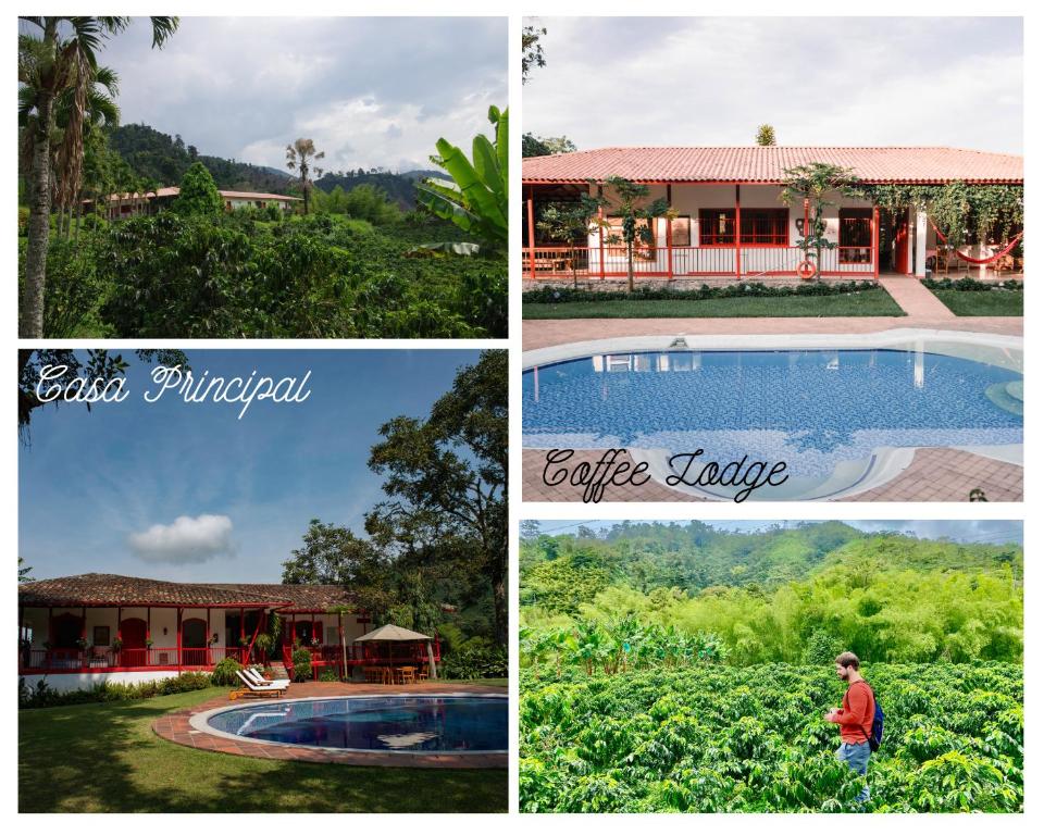 uma colagem de fotos de uma casa e uma piscina em Hacienda Venecia Coffee Farm Hotel em Manizales