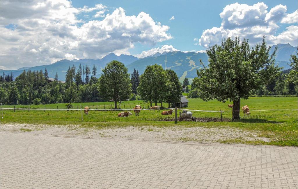 Príroda v okolí apartmánu