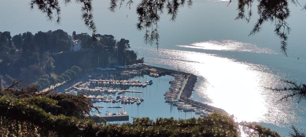 a view of a harbor with boats in the water at Locazione Turistica Via Del Pucino in Grljan