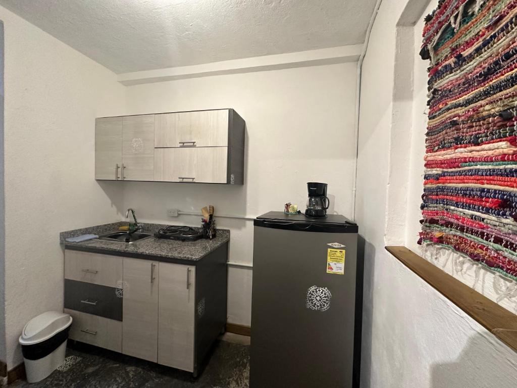 Kuchyň nebo kuchyňský kout v ubytování Hotel Casa Lucca