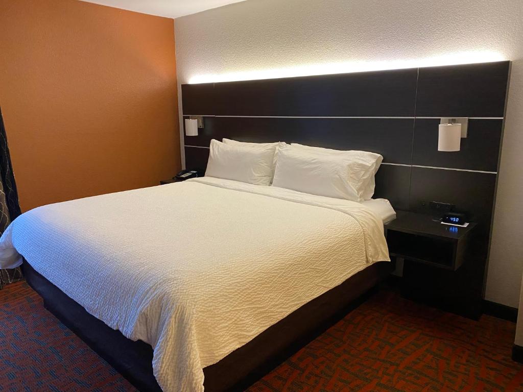 Holiday Inn Express Metropolis by IHG - Suite Lit King-Size