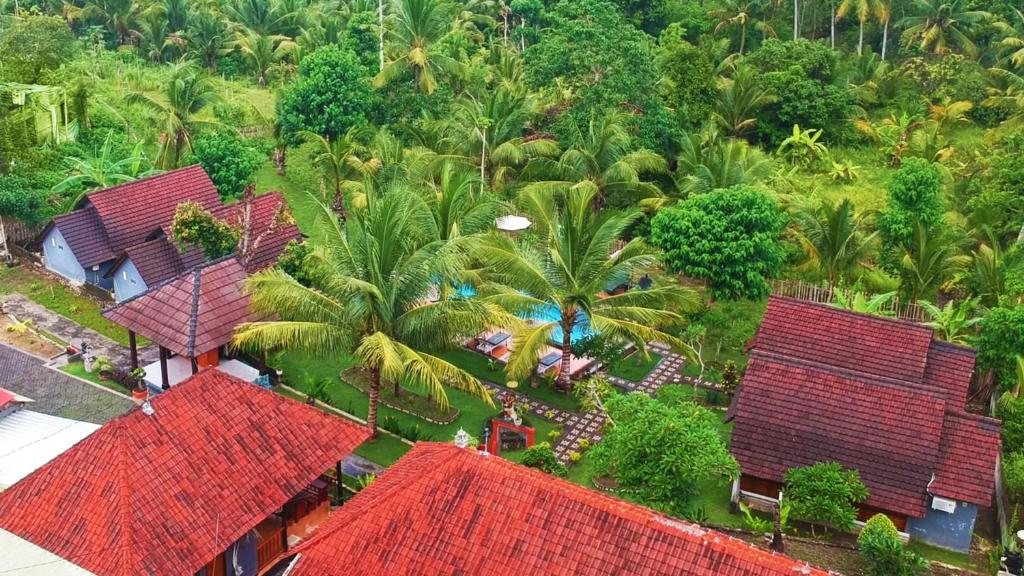 ペニダ島にあるMamaras Guest Houseのヤシの木や家々が生い茂るリゾートの空中を望む