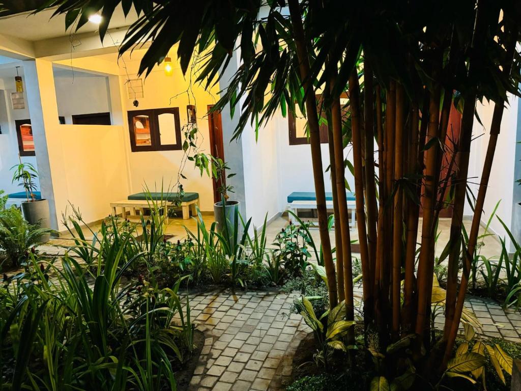Zahrada ubytování Double Mango Villa