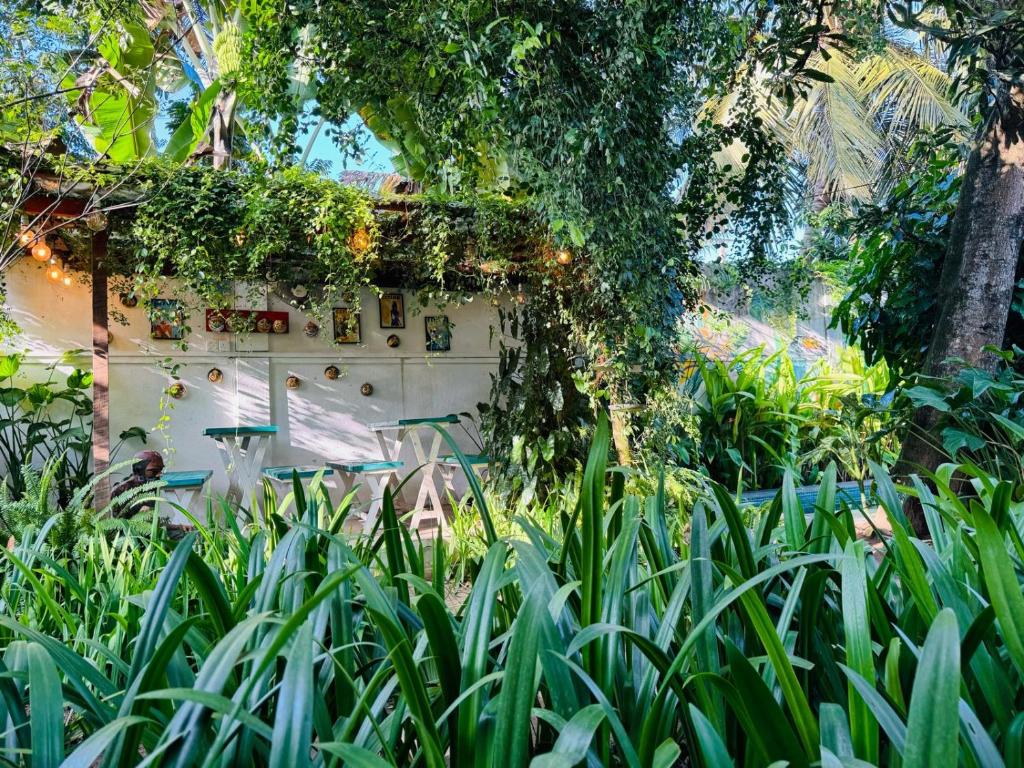 Zahrada ubytování Double Mango Villa