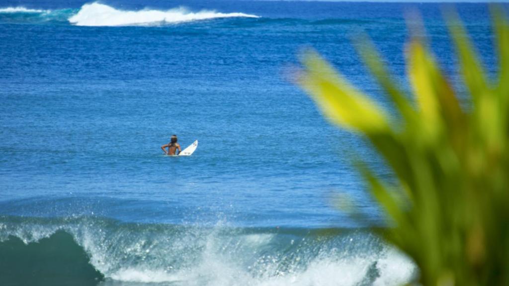 TAHITI - Bungalow Taharuu Surf Piti - photo 12 - Tahiti, Polynésie