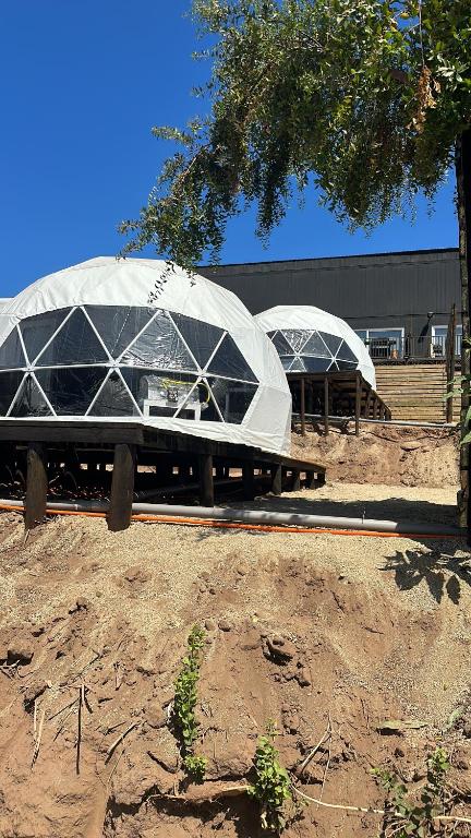 two domed buildings with domes in a field at Domos Maitencillo in Puchuncaví