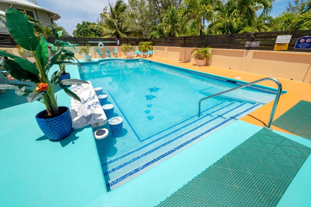 a swimming pool with a potted plant next to it at Hidden Gem Barbados in Christ Church