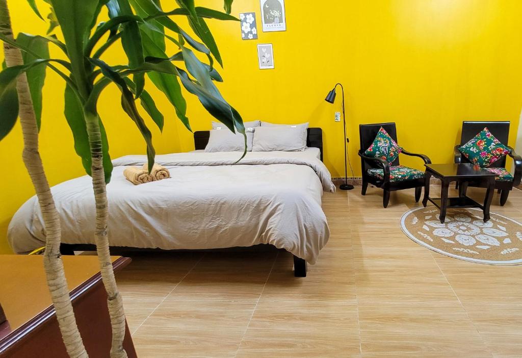 a yellow room with two beds and a plant at Tiny House Cat Ba in Cat Ba