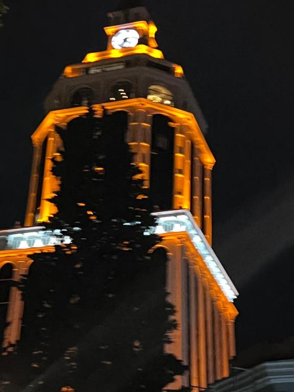 Fotografie z fotogalerie ubytování HOTEL PARIS v destinaci Batumi