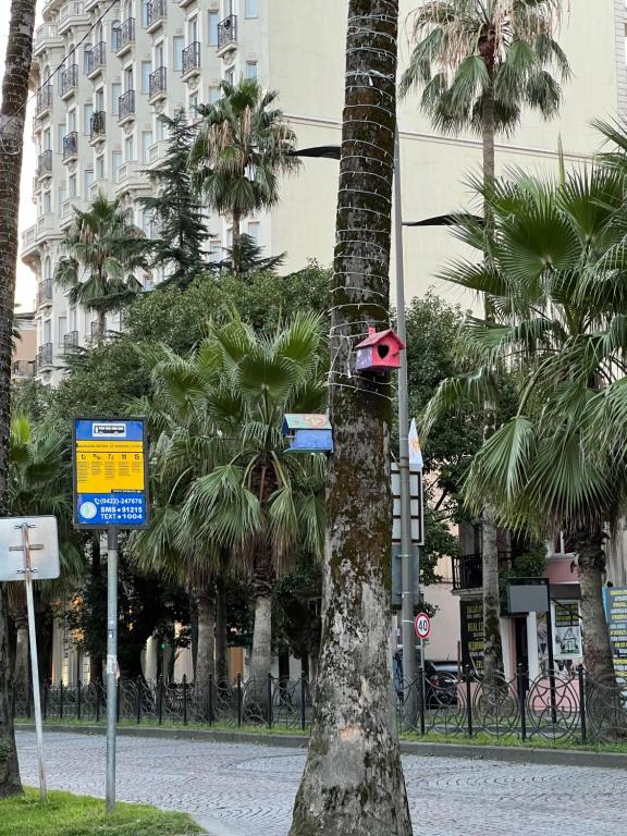Fotografie z fotogalerie ubytování HOTEL PARIS v destinaci Batumi