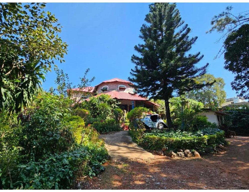 a house with a tree in front of it at Eve Resort, Pachmarhi in Pachmarhī