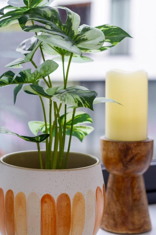 Modern City Lifestyle: 2 Bedroom 1 Bath - Resim 21