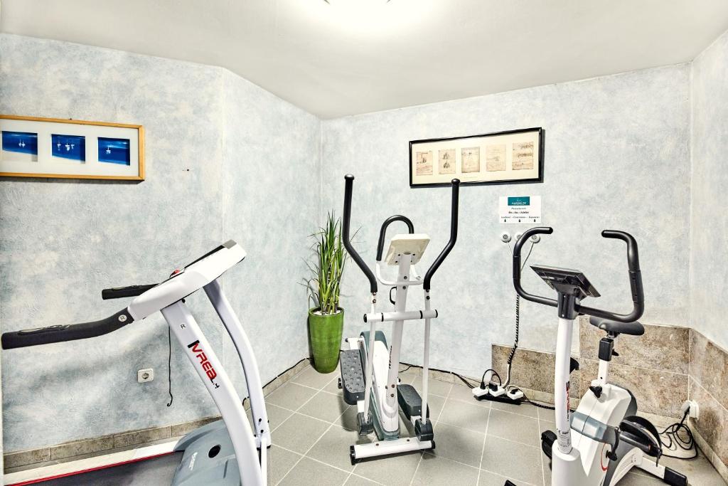 Fitness centrum a/nebo fitness zařízení v ubytování Leonfeldner-Hof