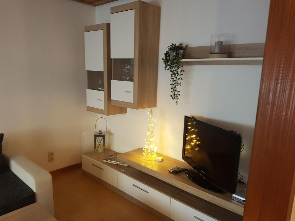 TV a/nebo společenská místnost v ubytování Ferienwohnung Reblaus