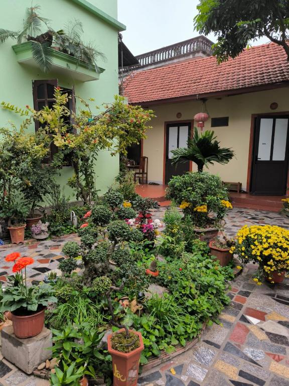 Tam Coc Lotus Flower Homestay - 8