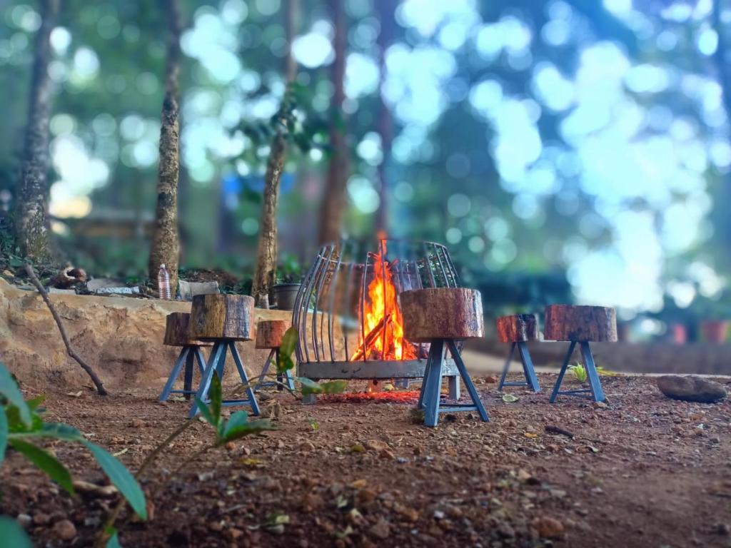 eine Feuerstelle mitten im Wald in der Unterkunft Wildrootstay 3 bed cottage in Pinangode