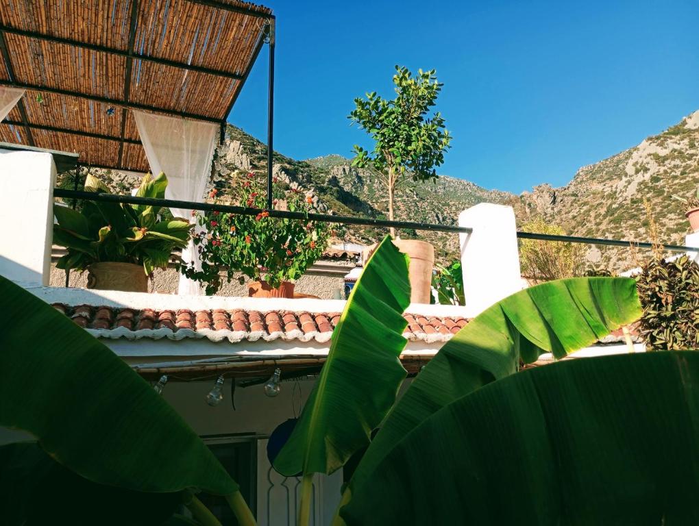 Nespecifikovaný výhled na hory nebo výhled na hory při pohledu z bed and breakfast