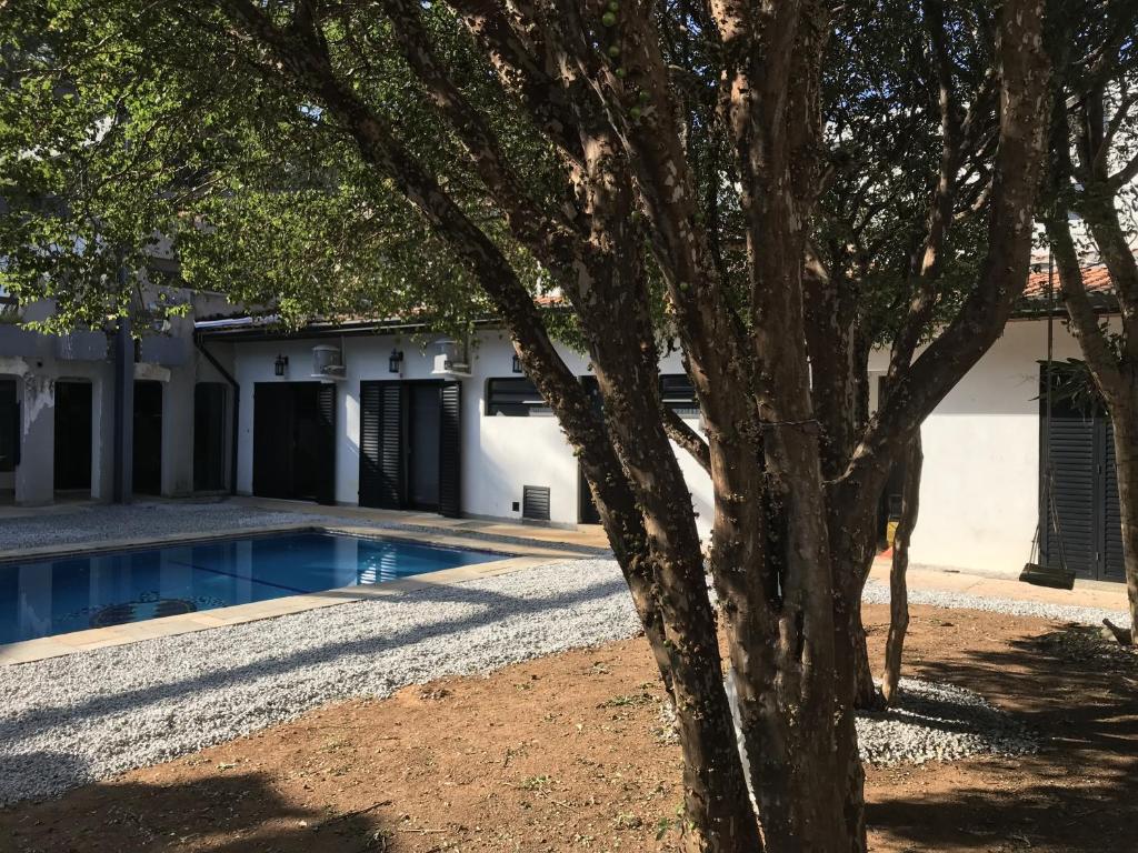 un árbol frente a una casa con piscina en Colonial Hostel, en São Paulo
