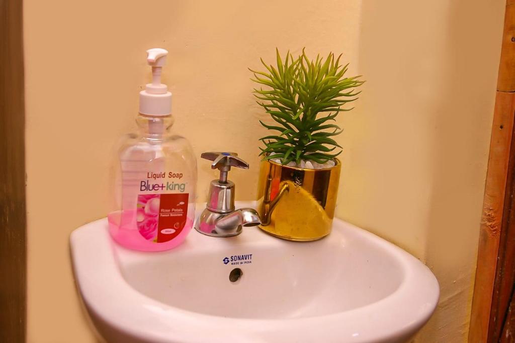 a bathroom sink with a bottle of soap and a plant at Forest Cabins in Nyeri