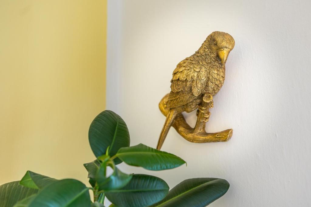 Apartament Domo - 13