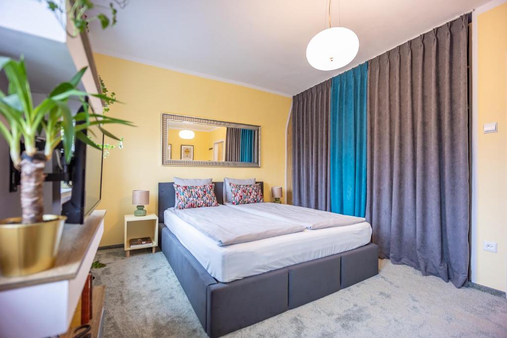 Apartament Domo - 17