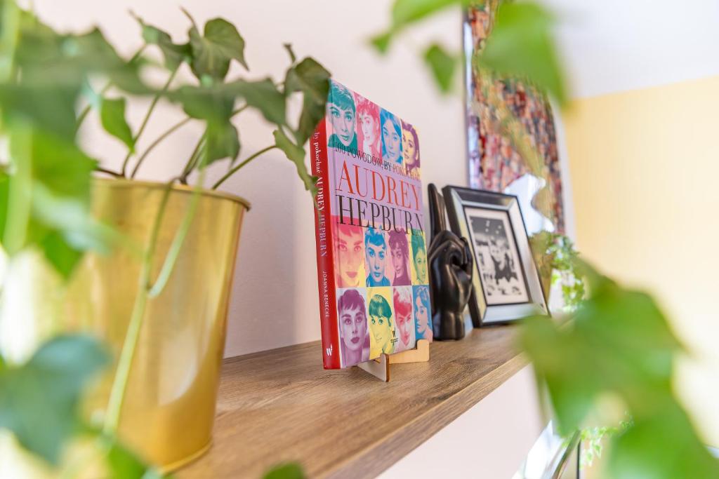 Apartament Domo - 10