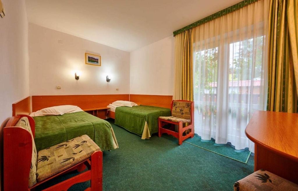 伯伊萊圖什納德的住宿－Pensiunea Olt Centrum Olt Centrum Panzio，酒店客房设有两张床和窗户。