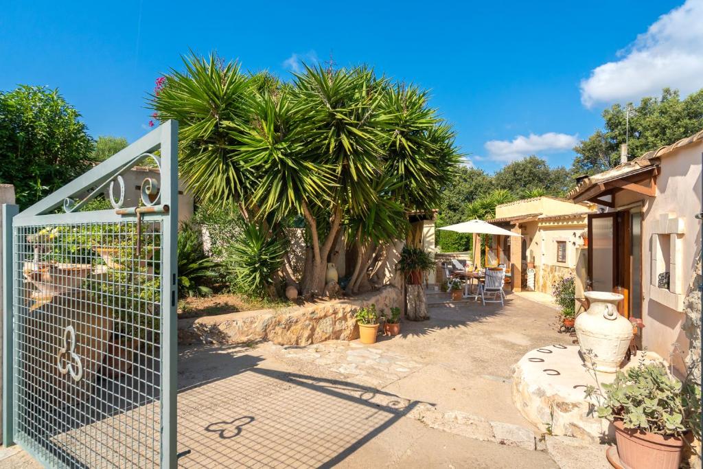 A garden outside Villa KASHMIR by Mallorca Villa Selection