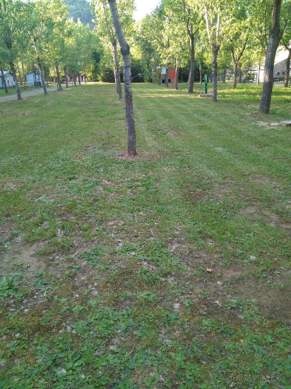 Zahrada ubytování Camping Valle de Hecho