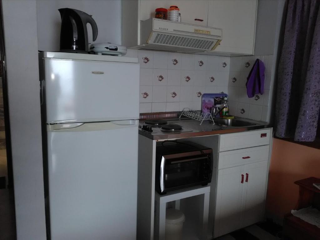 a small kitchen with a refrigerator and a sink at Irida Maria in Agios Ioannis Pelio