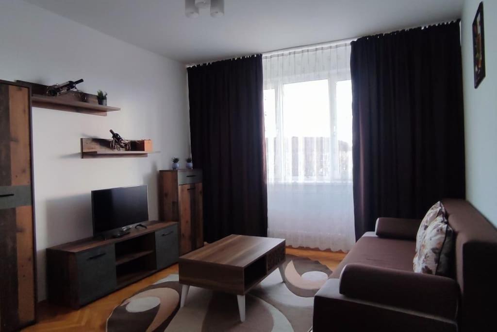 a living room with a couch and a tv at Apartament ultracentral - două camere in Baia Mare