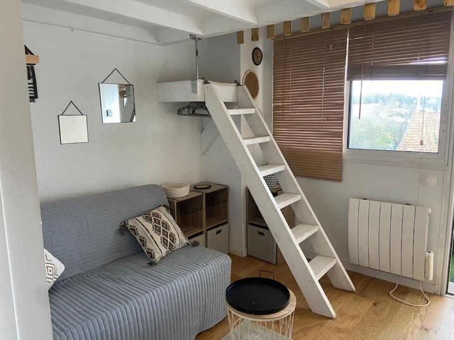 a living room with a bunk bed and a ladder at studio Biscarrosse plage in Biscarrosse