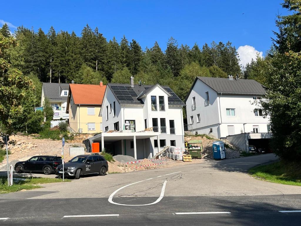 un grupo de casas al lado de una carretera en Apartments am Hirschenberg, en Breitnau