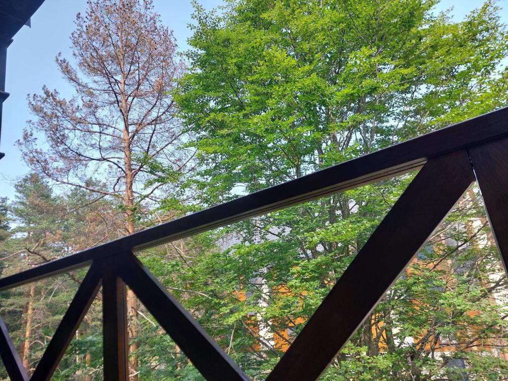 Galeri foto Apartman Kiara di Divcibare