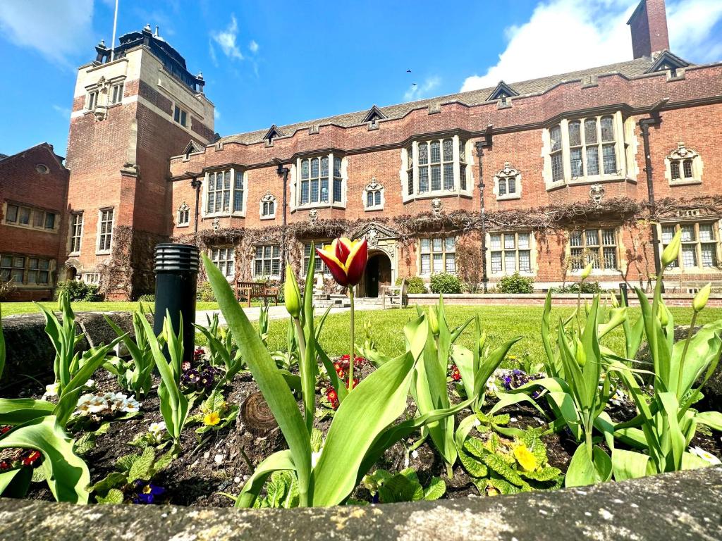 uma flor num jardim em frente a um edifício em Westminster College em Cambridge