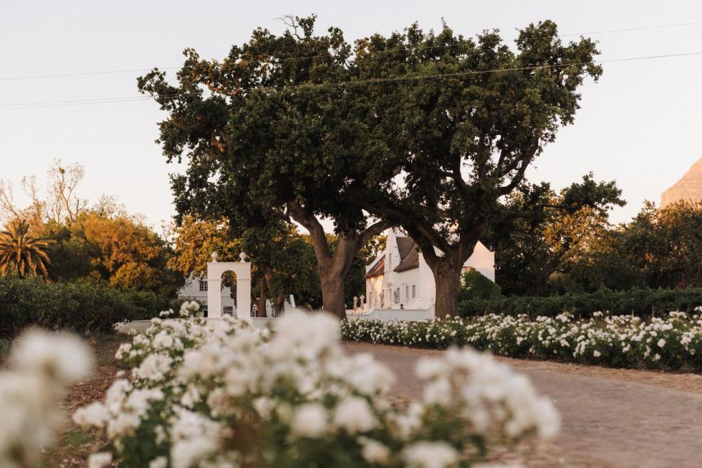 a white church with a tree and white flowers at Adara Palmiet Valley Luxurious Boutique Farm Hotel in Paarl