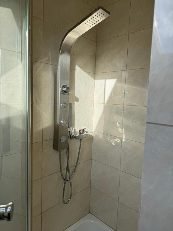 a shower with a shower head in a bathroom at 2 chambres adjacentes avec lit Queen size in Commugny