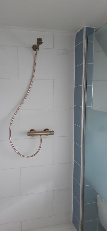 Koupelna v ubytování B&B de Zilverreiger