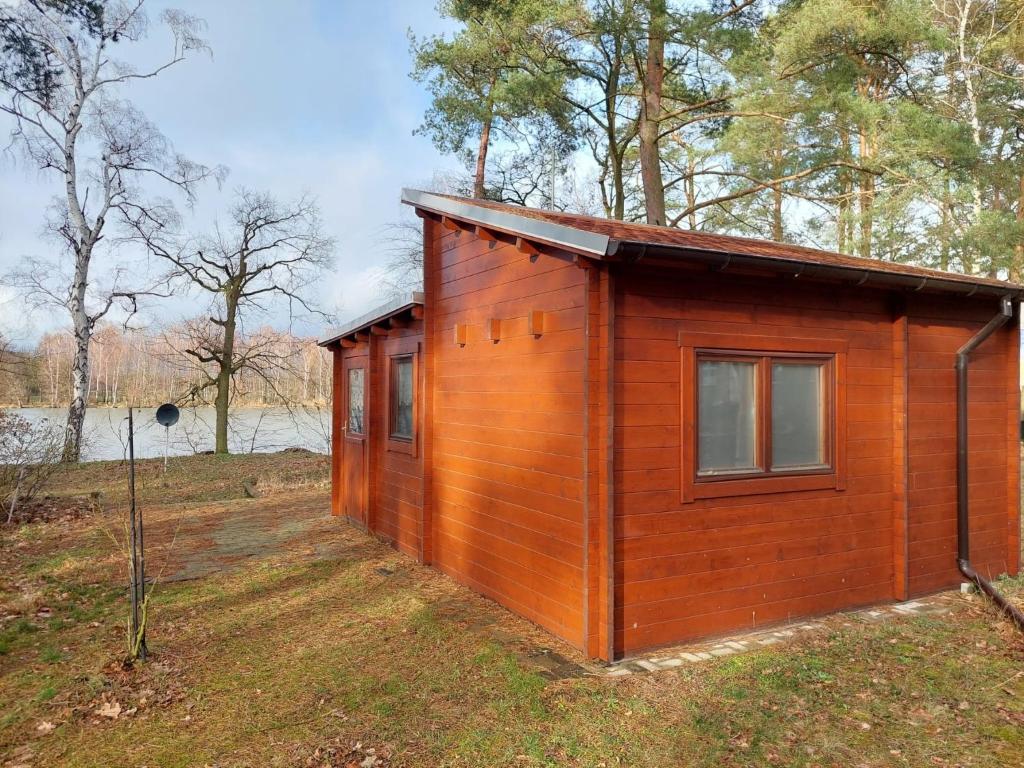 mały drewniany domek w trawie blisko jeziora w obiekcie 28m Ferienhaus am Rande des Spreewalds w mieście Bornsdorf