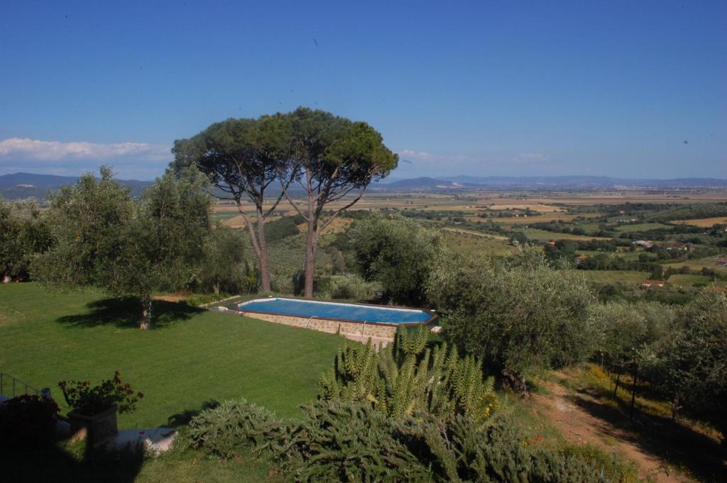Il Pino