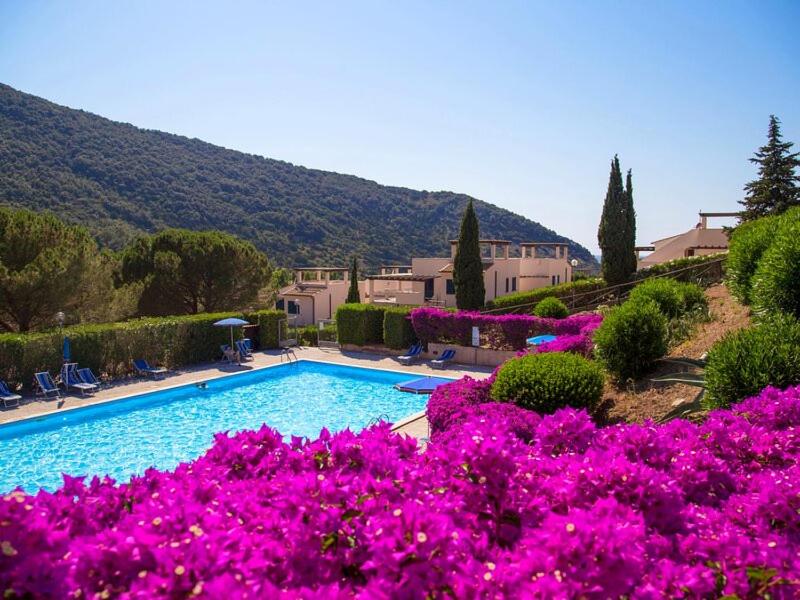 a swimming pool with pink flowers in front of it at Cala Rossa Pool & Nature - Goelba in Nisporto