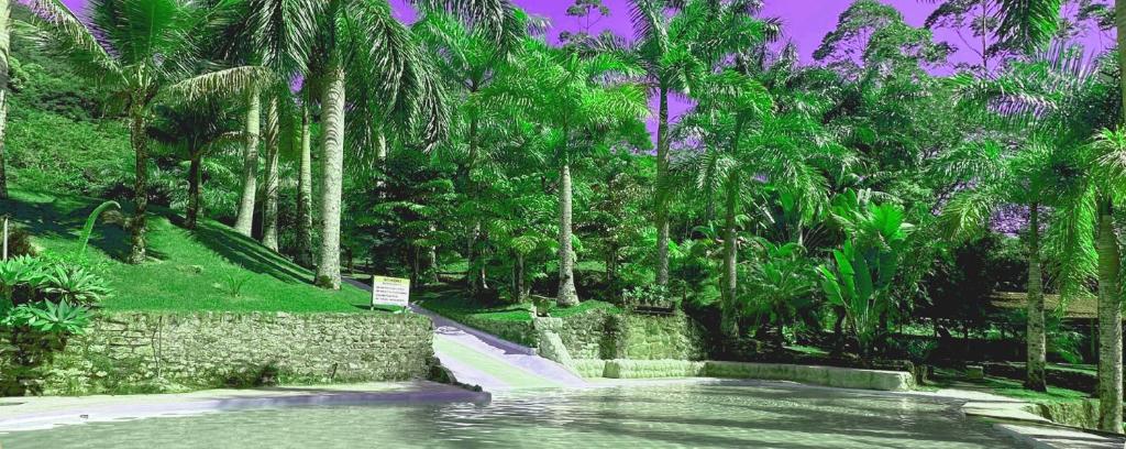 une piscine d'eau dans un parc planté de palmiers dans l'établissement Pousada J Country, à Sana