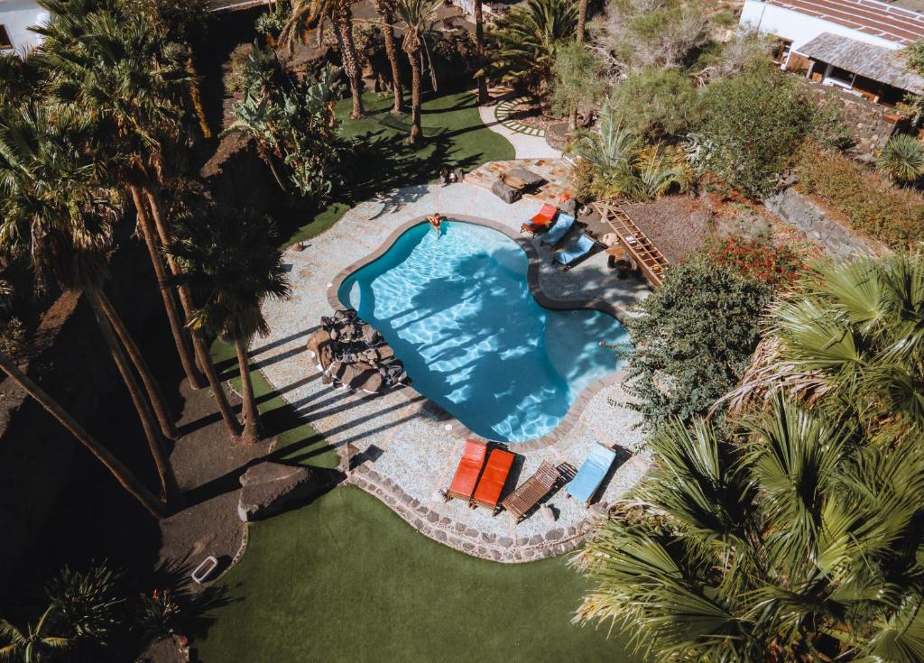 an overhead view of a swimming pool with palm trees at Finca Tomaren in San Bartolomé