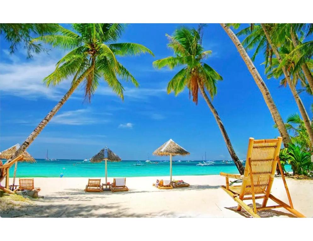 Siesta key Guest House 5 star on the water Private! - Housity