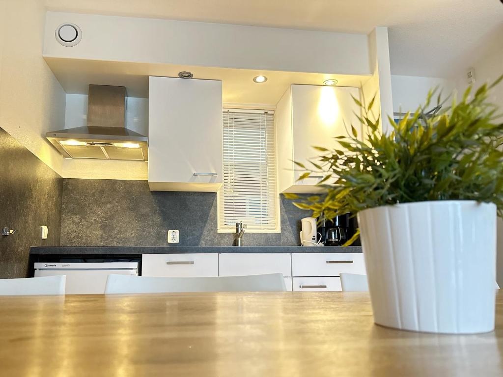eine Küche mit einer Topfpflanze auf einem Tisch in der Unterkunft Appartement Kompas in Hollum