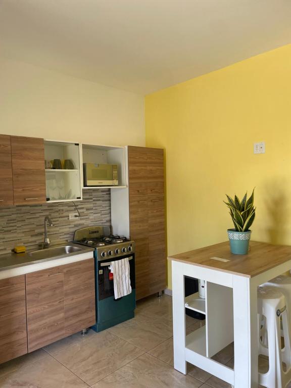 Kuchyň nebo kuchyňský kout v ubytování Cozy apartment in Savaneta