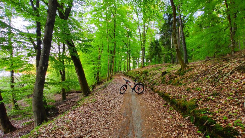 Jazda na bicykli v okolí ubytovania Nice River - MAZURIA APARTAMENTY