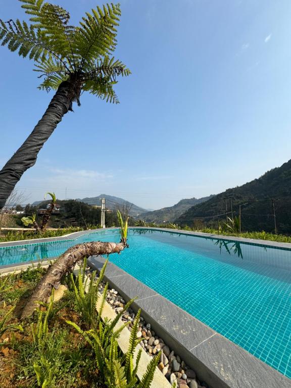 einen Pool mit Palmen und Bergen im Hintergrund in der Unterkunft Chapa Hill Villa Sa Pa in Sa Pa