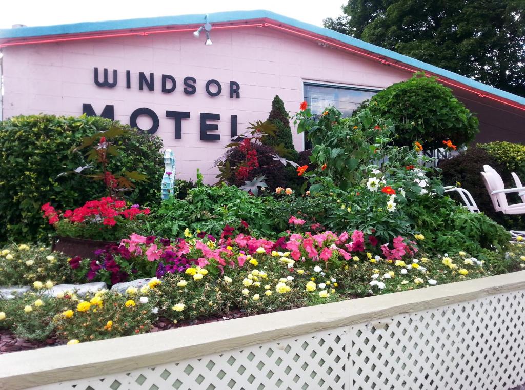 Zahrada ubytování Windsor Motel