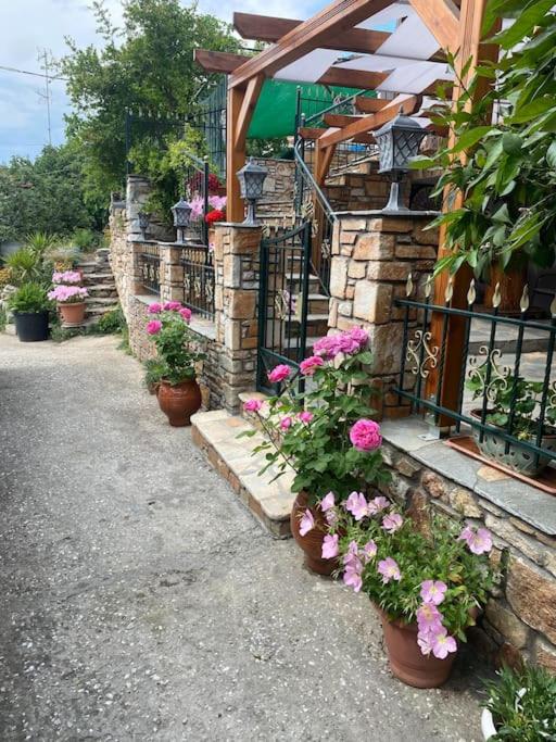 a row of potted flowers on the side of a building at IslandTime Studio2 in Prinos